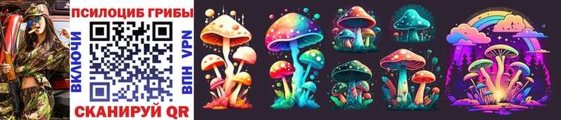 магазин    Бронницы  Псилоцибиновые грибы Cubensis 